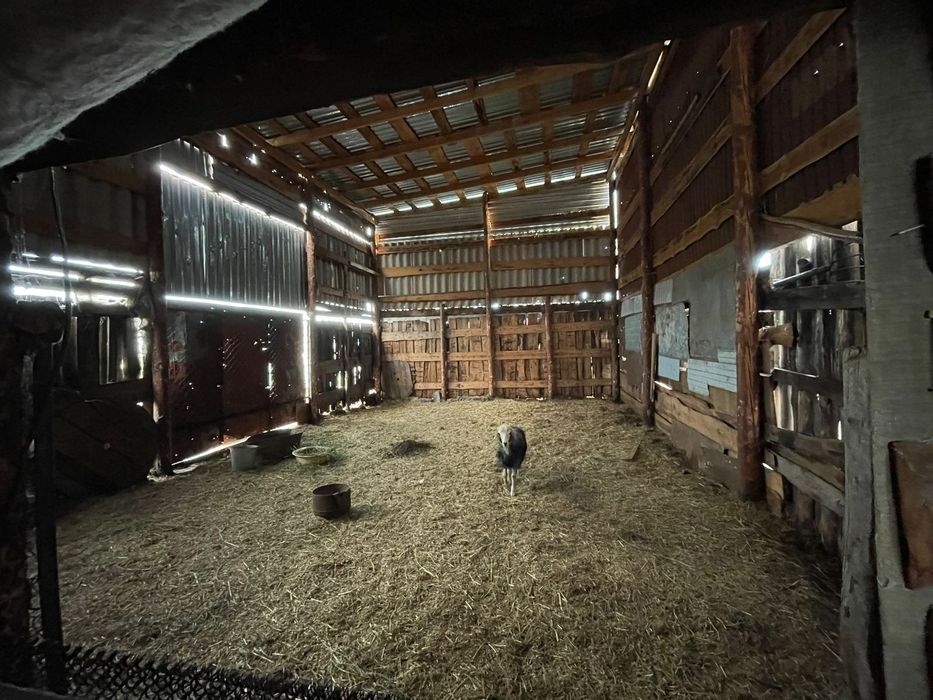 Продаётся частный дом в Алтын дала