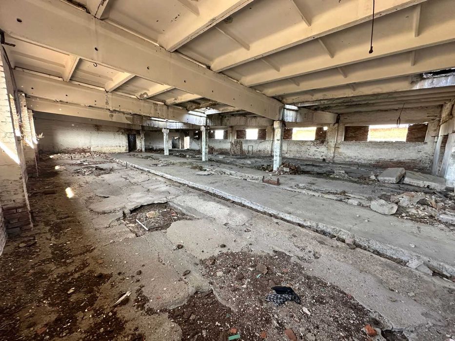 В продаже База новоявленка Алаш 1