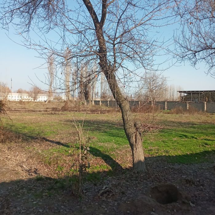 Срочно 40 соток Уй сотилади! ДОМ ПРОДАЁТСЯ  40 соток!