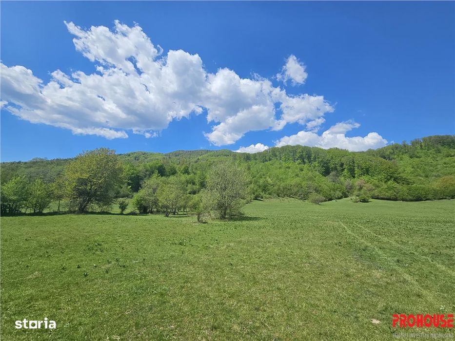 EXCEPTIONAL,Teren 5.370mp, Poiana Sarata