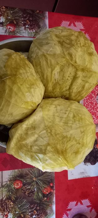 Vând varză murată cu frunza subțire