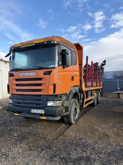 Automacara forestiera