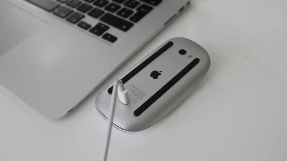 Apple magic mouse
