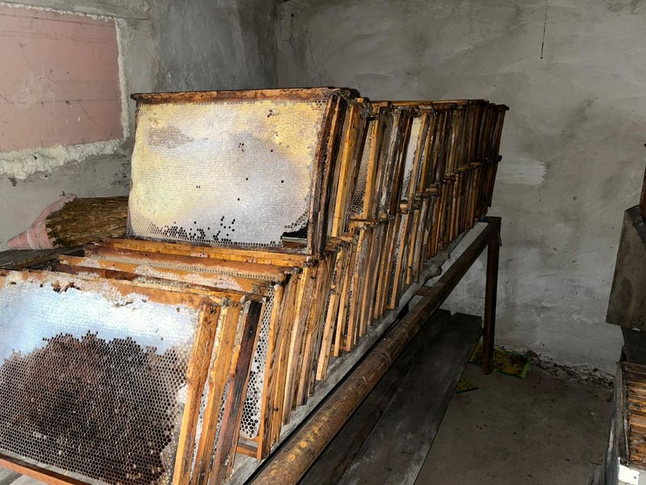 Продам медовые рамки