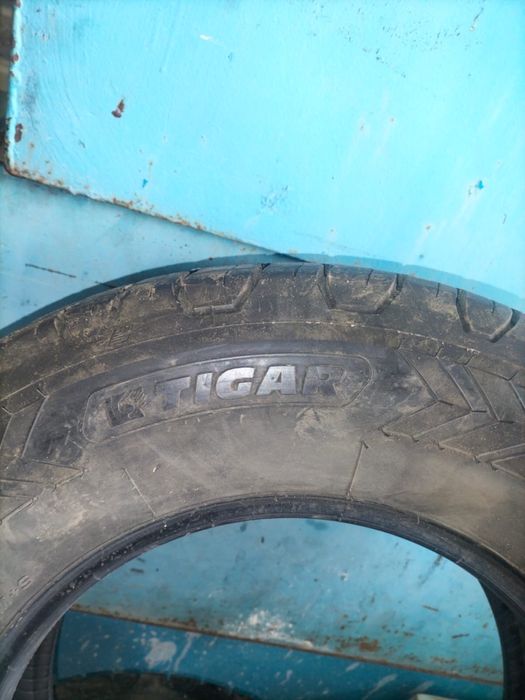 Шины летние Tigar