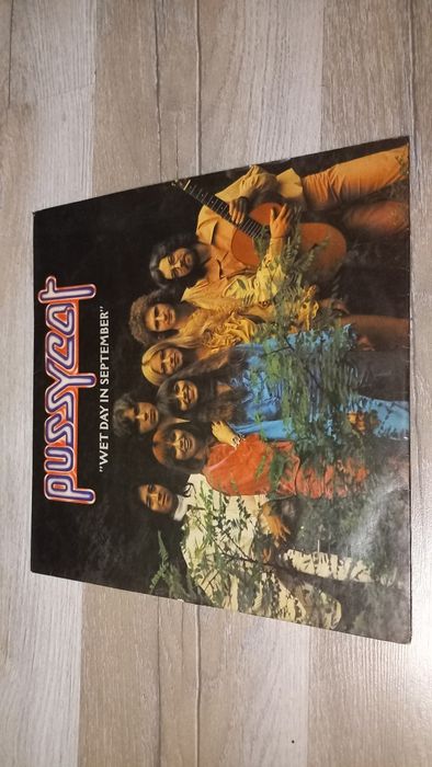 De vanzare discuri vinil