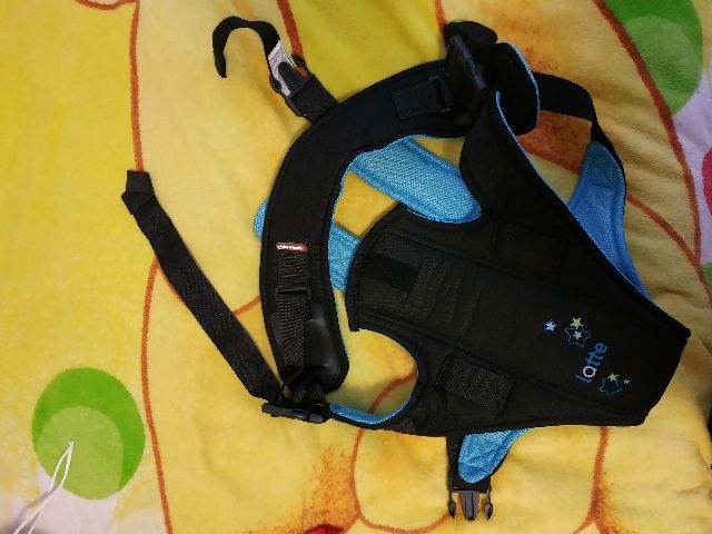 Кенгуру Чиполино