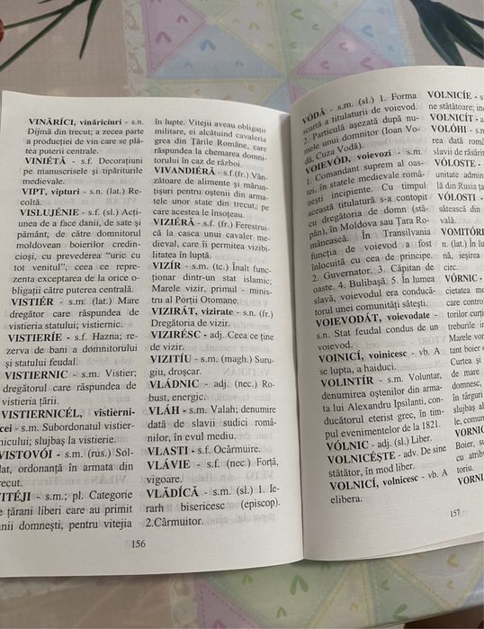 Veronica Leoveanu-Dictionar de arhaisme si notiuni istorice