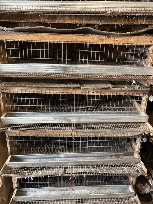 продается срочно клетки для перепелов
