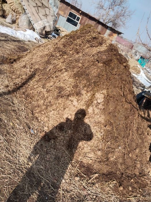 Отдам даром  навоз