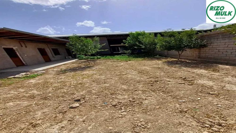 Олтинтепа Победа махалласида ховли сотилади. NR494/148