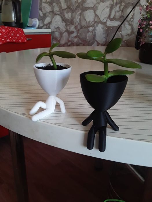 Цветы на подарки человечки .