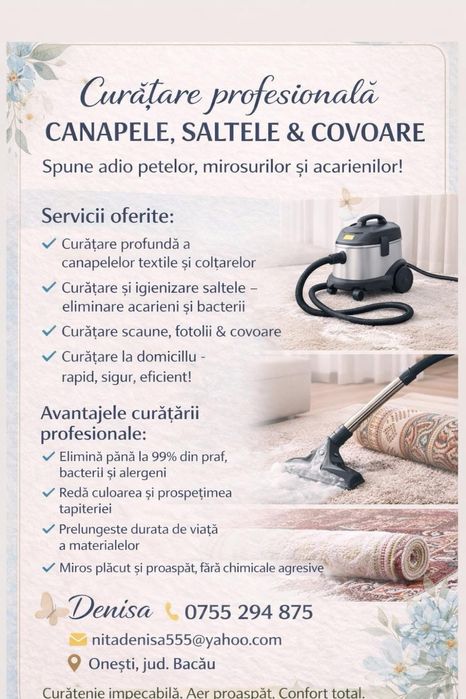 Curatare profesionala si  curatenie generala