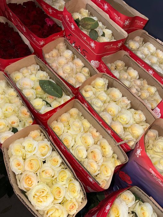 Пионы в наличии.