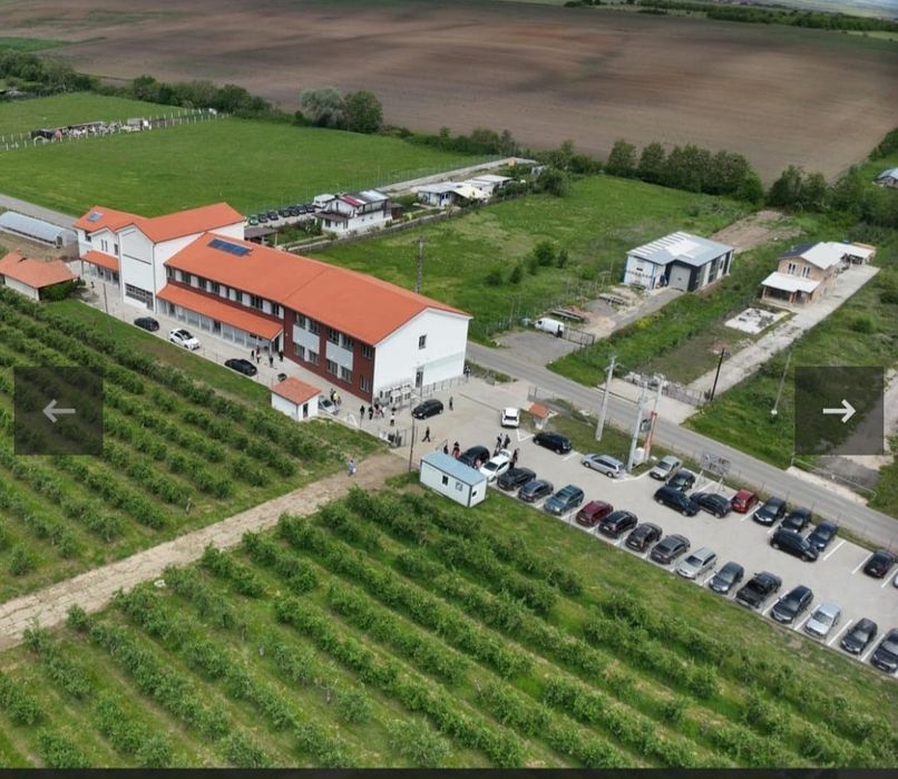 Vand  2 case noi la alb cu teren 1500 mp, lângă Sibiu.