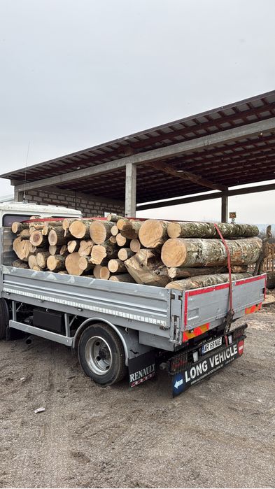 Lemne de ofc esenta tare