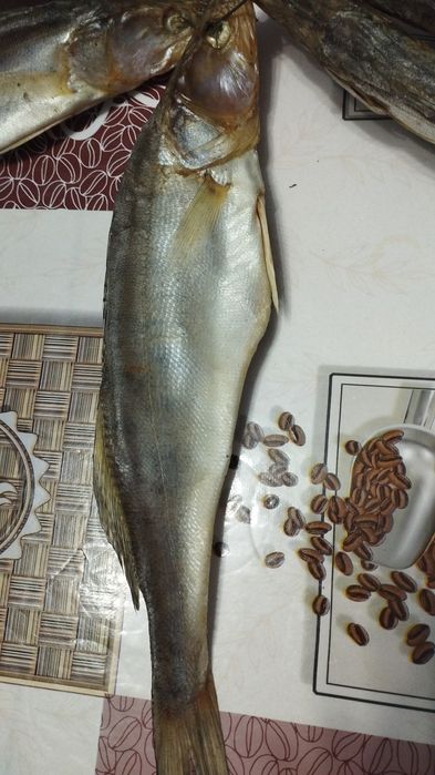 Вяленая рыба жерех судак лещ