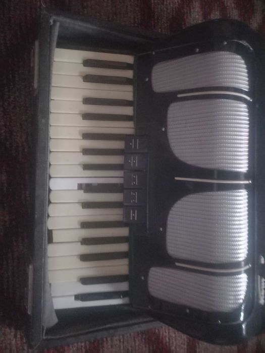 Akkardion... Muzikalnaya
