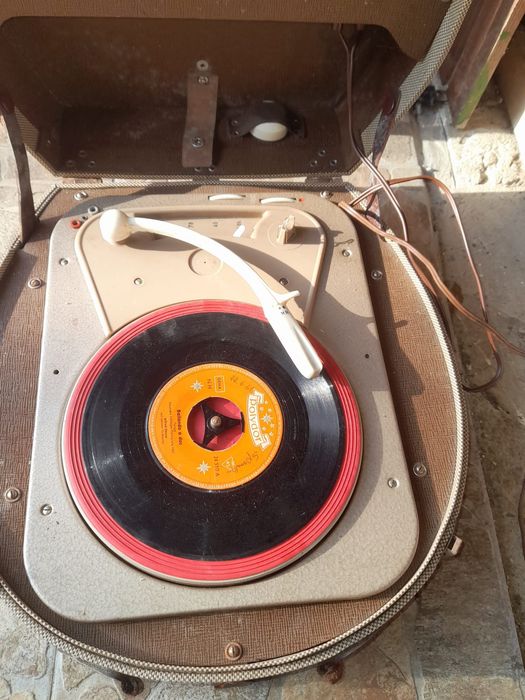 Pikupuri import germania