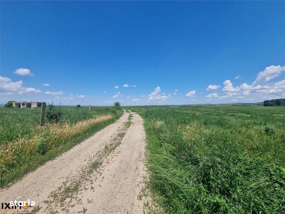Teren Saucesti Rezervat  2.75 Ha