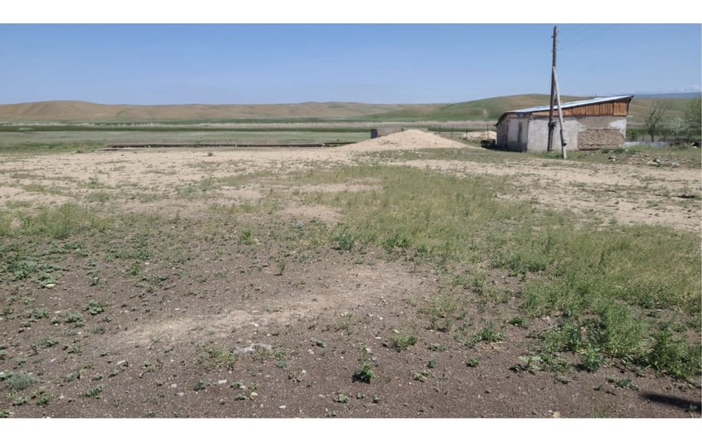 Фазенда крестянское хозяйство кашар