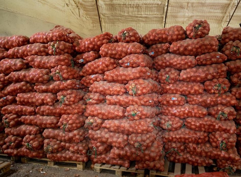 Лук оптом продаётся. Пияз көтерма бағада сатылады.