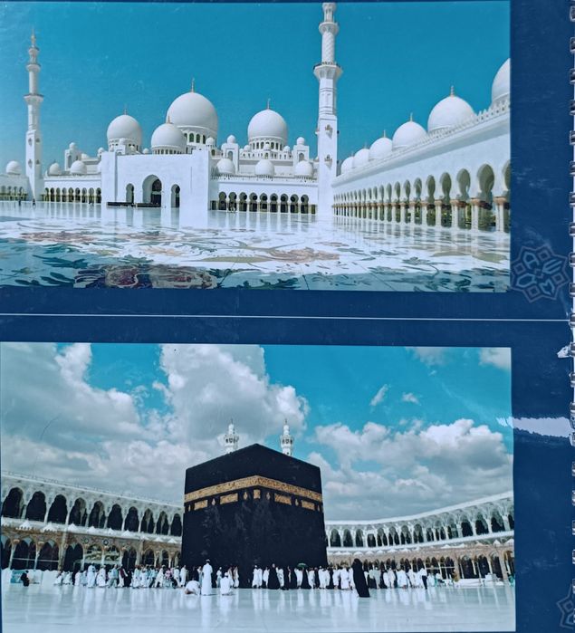 Фото обуй ва надижньй паталўк урамиз келишилган нархда тошкент