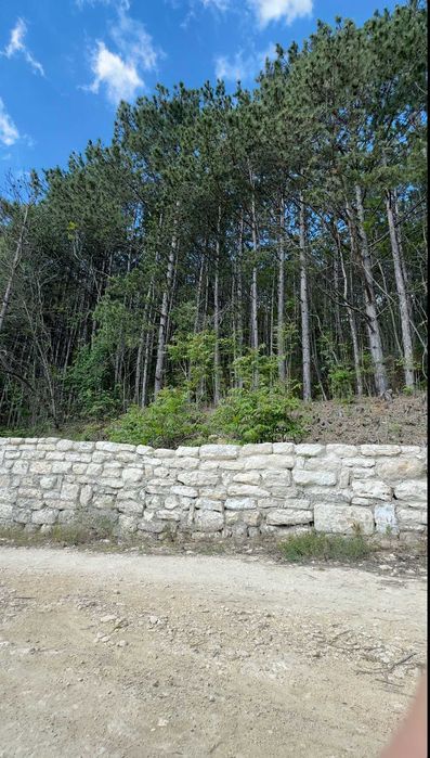 Продава се Парцел в с. Рогачево, Област Добрич - 500 кв.м за 23 €/кв.м - Снимка #2