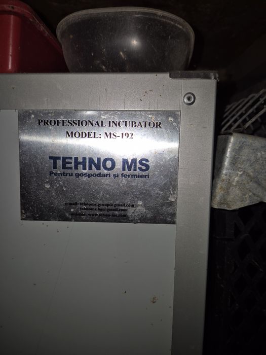 Incubator prepelite gaini