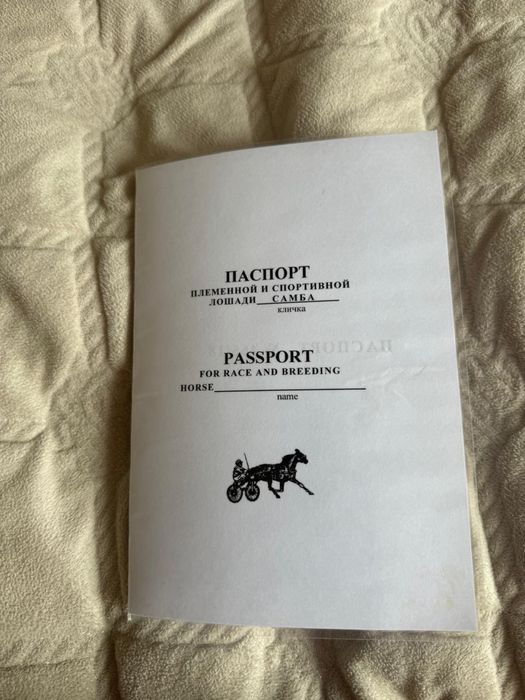 Продам кобылу, Французская - рысистая