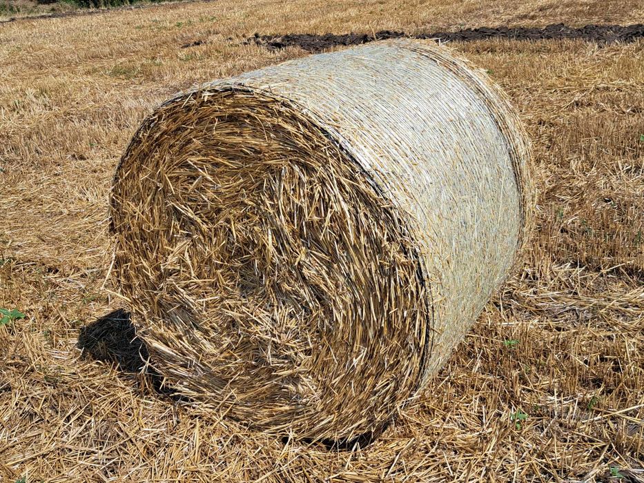 Baloti paie de grau