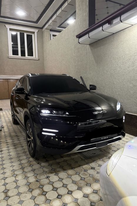 BYD chempion EV 520km