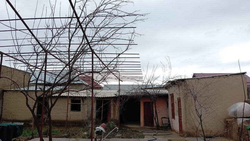 Katta kokraklar orasidagi fotosurat