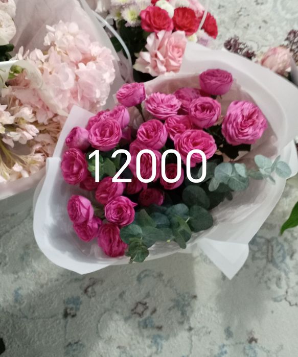 Продам цветы дешево