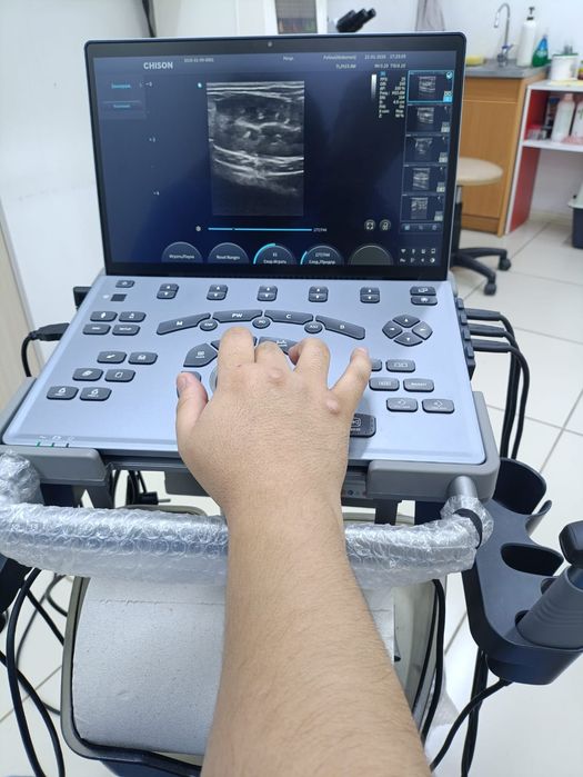 Ветеринарные услуги г.Каскелен