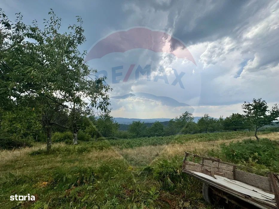 Teren pe deal cu vedere panoramica Halmagiu - Sat Brusturi