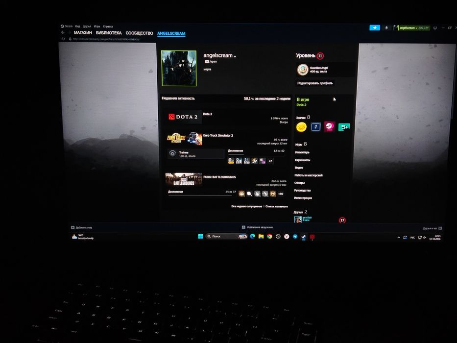Личный Steam Аккаунт, Инвентарь/РАНГ в DOTA 2; PUBG / CS2