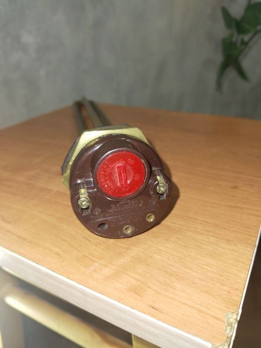 Тэн электрический