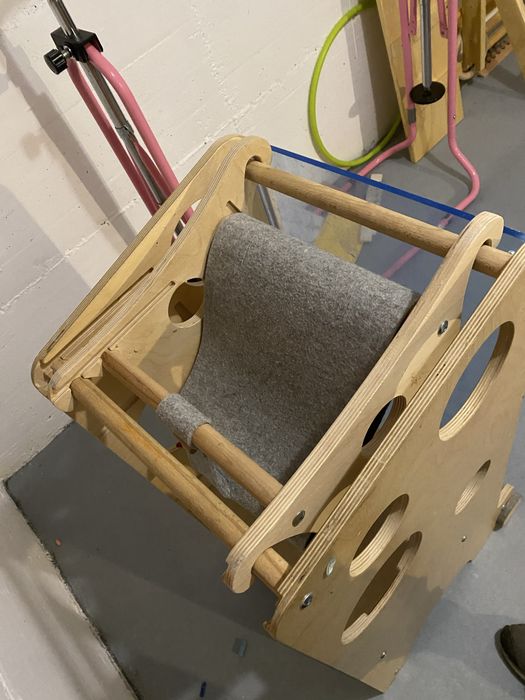 Turn de invatare Leea