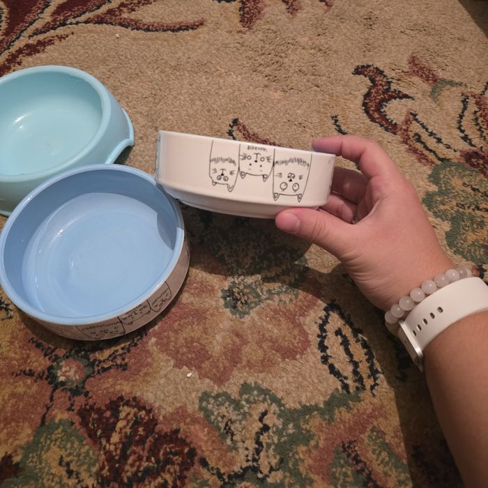 Керамическая миска для кошки/кота