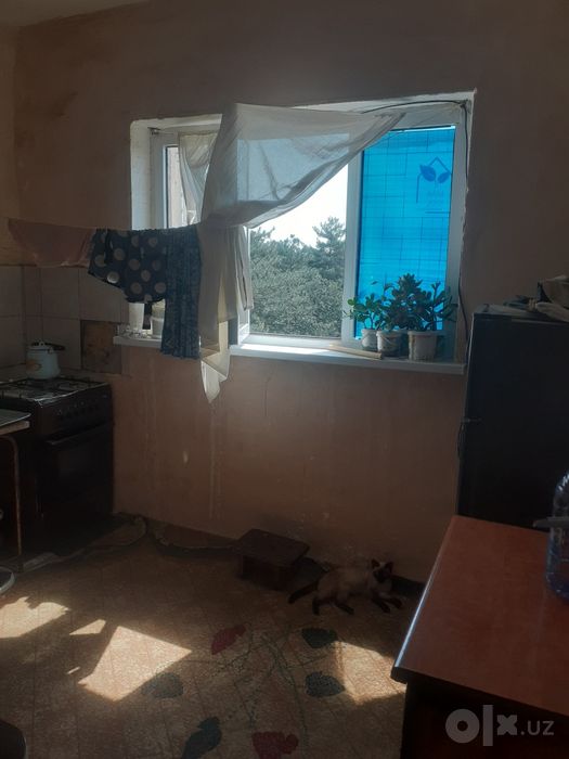 Uy sotiladi ryalni oladiganlar tel qililar