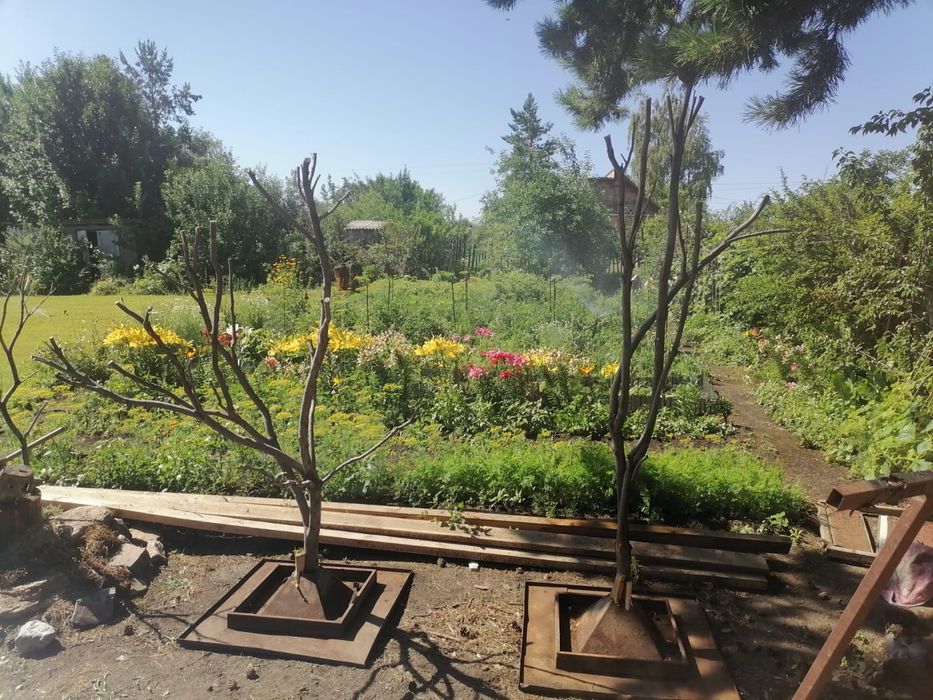 Дача в Бухтарме