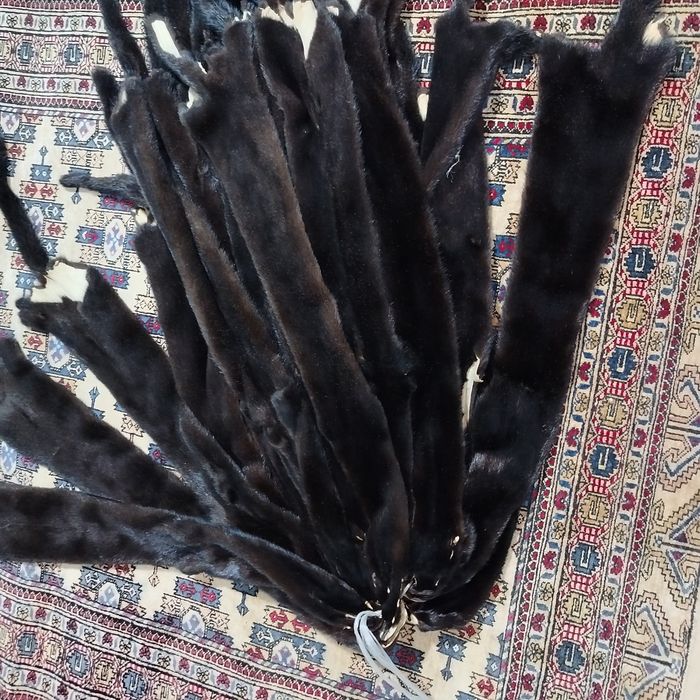 Норкавая шкурка Норвегия