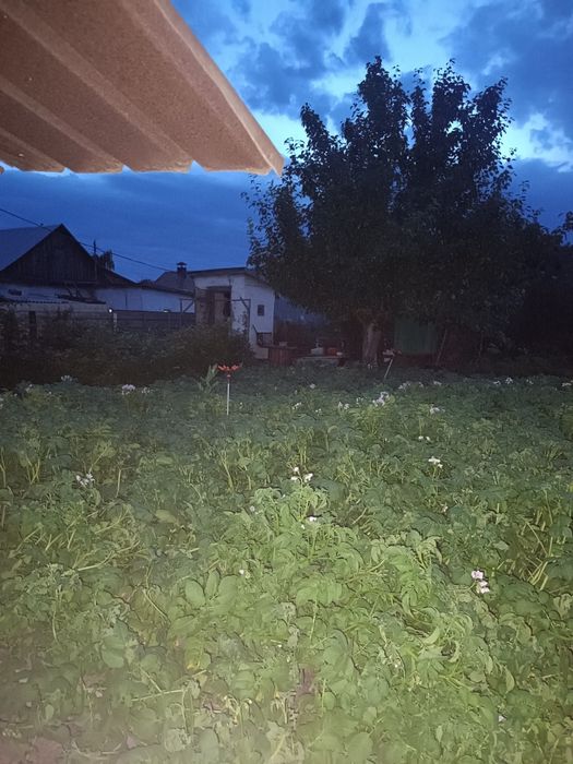 Продам дом пригород Новодолиский