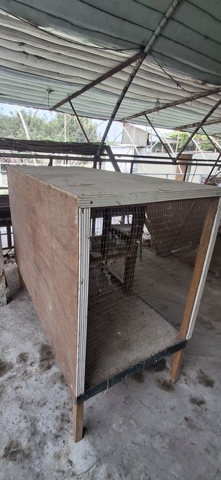 Qush va  tovuqlar uchuk  katak