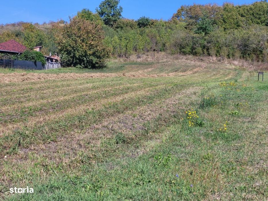 Teren de vanzare – Popesti Vale, 3600 mp
