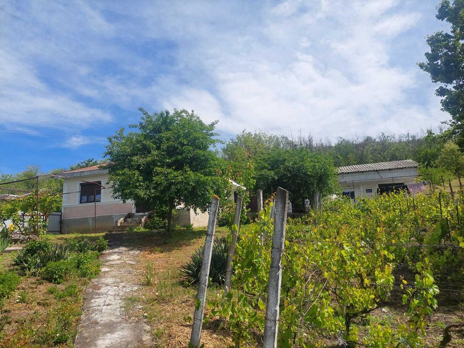 Casă in sat Negrileşti, județul Galați, 1900mp la 15 km de Tecuci.