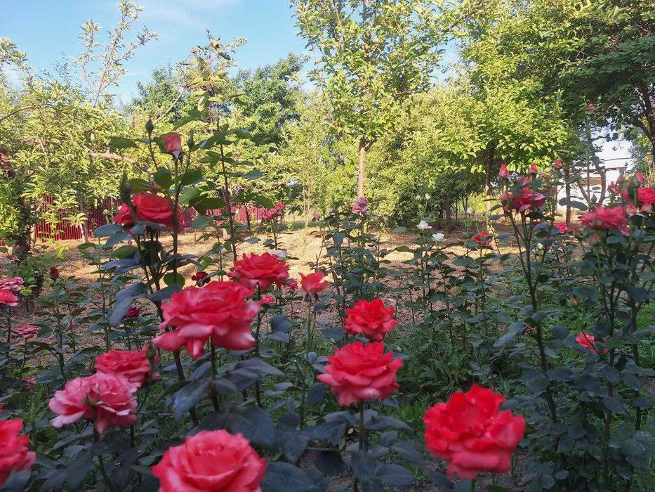 Продается земельный участок в Новом Ташкенте