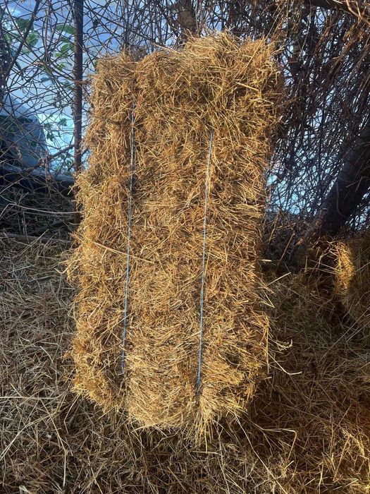 Baloti de paie cu fan