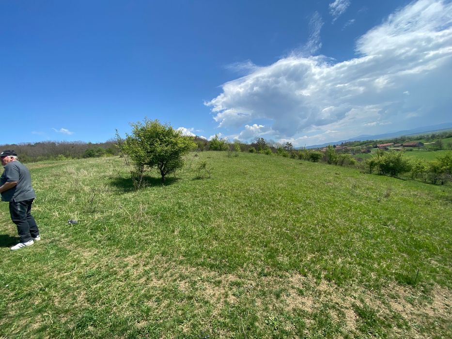 Teren 14,61 ha de vânzare – Hălmeag, Brașov